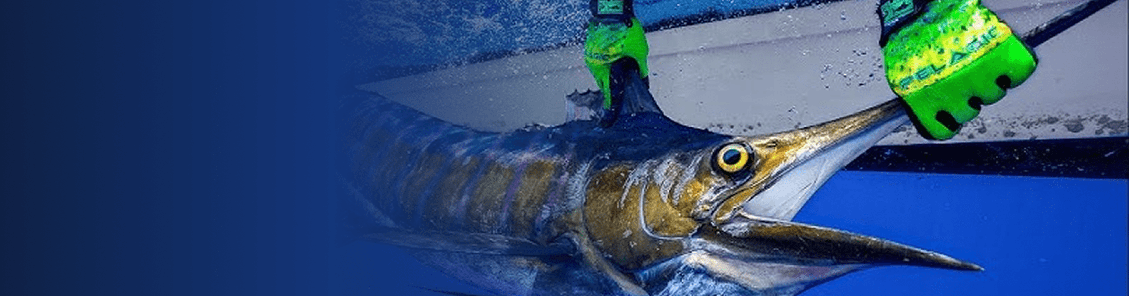 Fishing Species Header