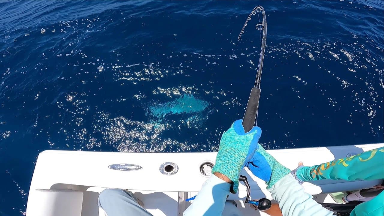 Bottom Fishing